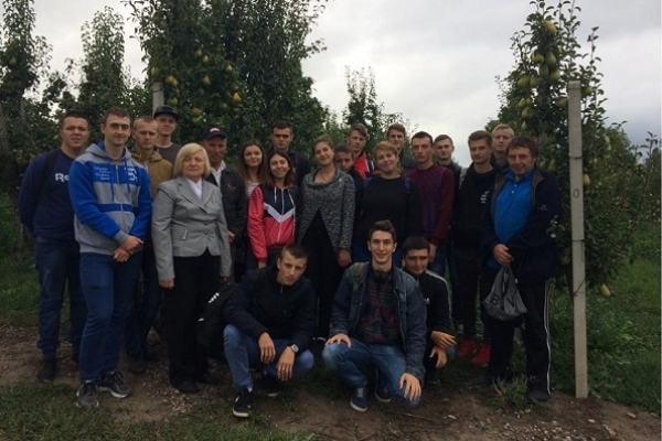 Студенти Заліщицького агроколеджу наїлися грушок у сусідній області