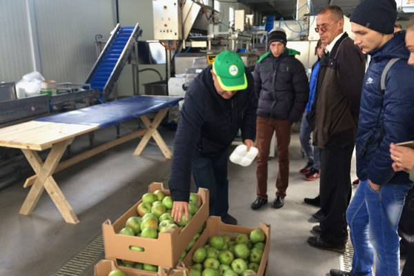 Студенти Заліщицького агроколеджу вчилися зберігати для нас яблука