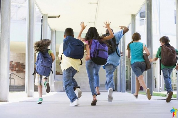 Тернопільські дев'ятикласники масово міняють школи