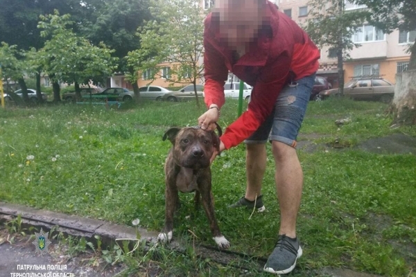 Тернополянин заплатить за собаку (Фото)