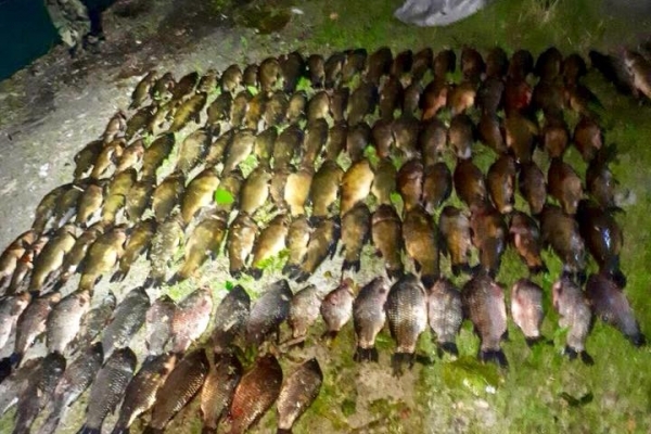 На Тернопільщині двоє браконьєрів наловили сітками 100 кг риби (Фото)