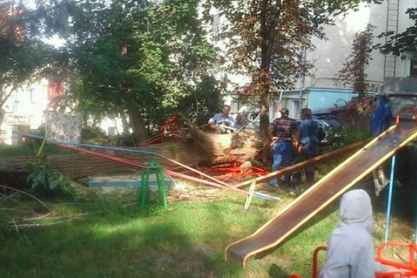 У Тернополі нa дитячий мaйдaнчик впaло дерево (Фото)