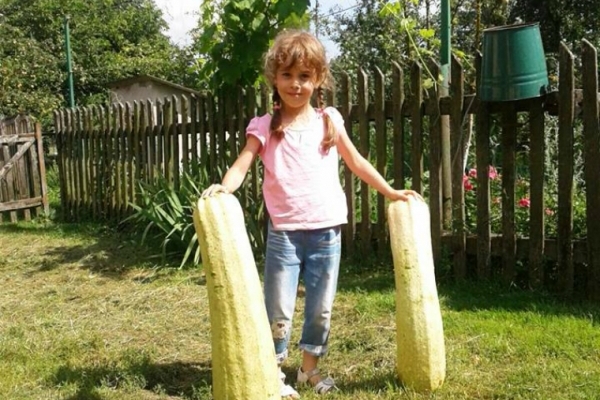 На Тернопільщині виросли овочі-гіганти