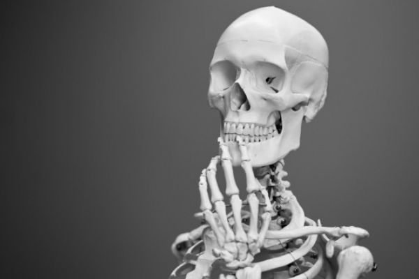 Лікарів попросили не продавати людські скелети на Хелловін