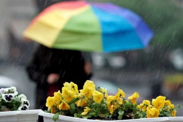  Синоптики розповіли про погоду в травні: що чекати українцям 