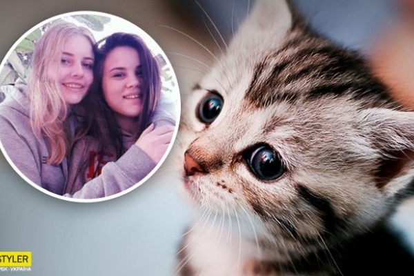 Дві дівчини кинули в колодязь кошенят: яке покарання загрожує студенткам (Відео)