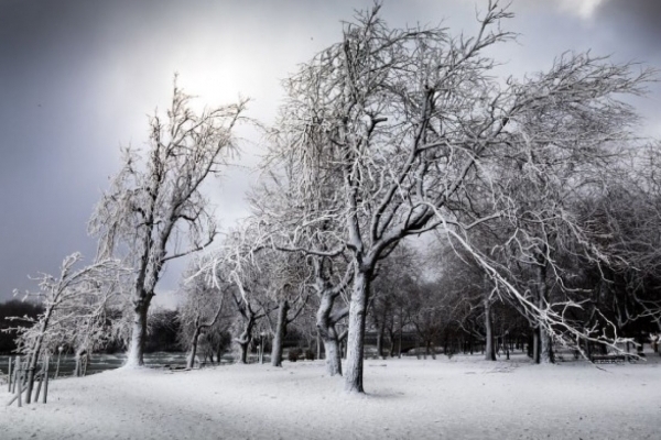 Зима обіцяє бути холодною та вітряною: прогнози синоптиків